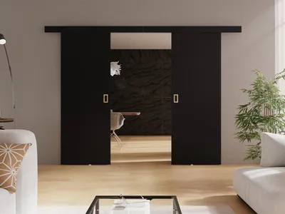 Obrázek produktu pro Posuvné dvoukřídlé interiérové dveře SANITA 3 - 172 cm, černé