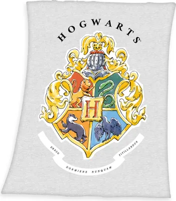Produktbild von "Harry Potter" Kuscheldecke / Fleecedecke / Decke, 100% Polyester, 130x160 cm