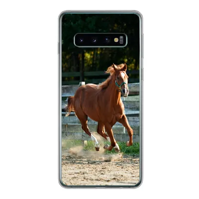 Produktbild von MuchoWow® Handyhülle Schutzhülle Hülle für Samsung Galaxy S10 Pferd - Licht - Sand Silikon Softcase Handy Hülle - Handytasche