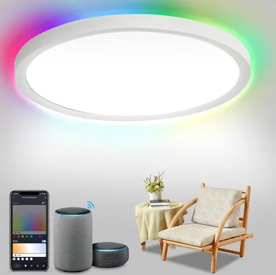 Produktbild von 24W Smart LED Deckenleuchte für Wohnzimmer mit Farbwechsel, dimmbar, RGB-Bürolampe - 2040LM