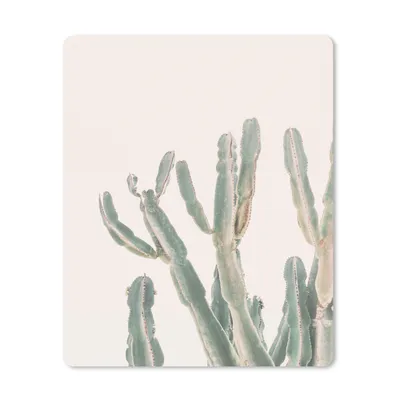 Produktbild von MuchoWow® Mauspad Mousepad Kaktus - Pflanze - Grün - Natur 30x40 cm - Mousepads - Maus Mat - Pad - Mausunterlage - Mausmatten