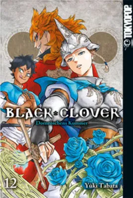 Produktbild von Black Clover 12