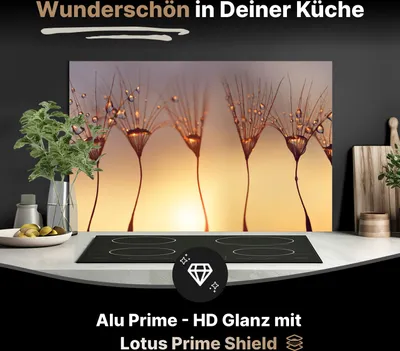 Produktbild von Spritzschutz Küchenrückwand aus Aluminiumverbund Glanz - 3mm - 125x60 cm  - Wassertropfen auf Löwenzahnsamen
