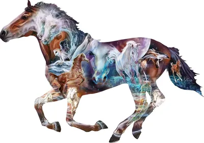 Produktbild von SunsOut Puzzle The Mystery of the Horse - 800 Teile Tiere
