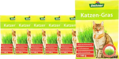Produktbild von Dehner Saatgut Katzengras, 6 Stück (600 g)