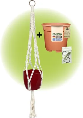 Produktbild von MePla - Set - Ampel Makramee Naturbeige - Basel ø14 Bordeaux + Kulturtopf ø13 + Beipack-Set 21550-001