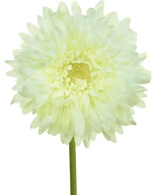 Produktbild von künstliche Gerbera weiß H. 60cm mit fülliger Blüte 10cm GASPER Kunstblume