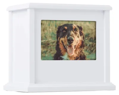 Produktbild von Pearhead Erinnerungsbox für Haustiere personalisierbar Weiß Hunde & Katzen