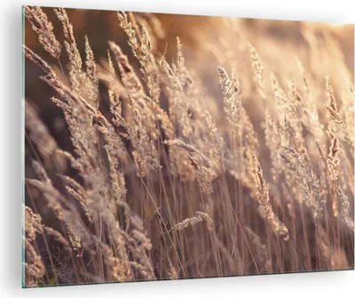 Produktbild von Bilder auf glas - Einteilig - Boho Ähren Feld - 70x50cm - Glasbilder - Wandbilder - Bilder - zum Aufhängen bereit - Wanddekoration aus Glas - Glas Bilder - Wandbild auf Glas - GAA70x50-4838