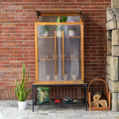 A wooden and polycarbonate mini greenhouse with plants and gardening supplies.