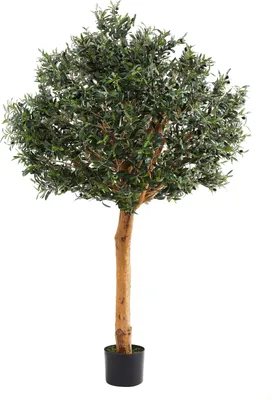 Produktbild von aplanta Künstlicher Olivenbaum – Eleutherios | 210 cm, Echtholzstamm, UV-beständig, für drinnen, Kunstbaum, wie echt, Allergiker geeignet, pflanzliche Dekoration Praxis, Office & Wohnzimmer