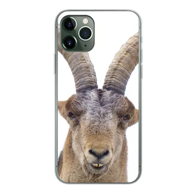 Produktbild von MuchoWow® Handyhülle Schutzhülle Hülle für iPhone 11 Pro Steinbock - Tiere - Hoorn Silikon Softcase Handy Hülle - Handy