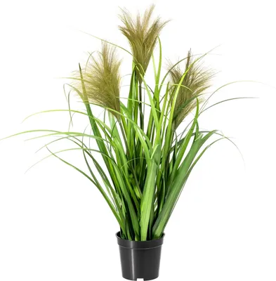 Produktbild von Kunstpflanze Chinaschilfbusch - Grün - schwarzer Kunststofftopf - H 60 cm