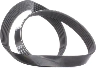 Produktbild von DAYCO Keilrippenriemen 892,0mm für MINI Schrägheck (R50, R53) 6PK892