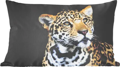 Produktbild von MuchoWow® Zierkissen Sofakissen Wohnzimmer Dekokissen 50x30 cm Leopard - Kopf - Wald - Wohnzimmerdekoration - Polster mit Photo