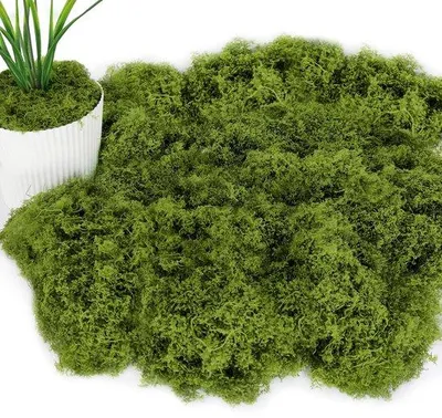 Obrázok produktu pre Umelá tráva na dekoráciu 150 g, tmavozelená, na stenu a do akvária