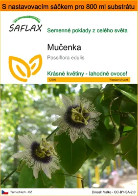 Obrázek produktu pro SAFLAX Garden in the bag - mučenka - Passiflora edulis - 40 Semena - S pěstebním substrátem v praktickém samovztyčovacím sáčku