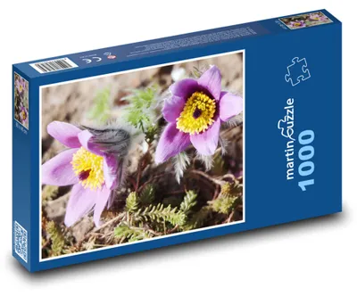 Obrázek produktu pro martinpuzzle - Puzzle 1000 - Koniklec