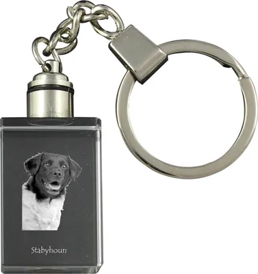 Immagine prodotto di Stabyhoun portachiavi con cane in cristallo Art-Dog