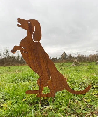 Produktbild von Gartenfigur Hund Dackel Macht Männchen 50x50cm Gartenstecker Edelrost Gartendeko Wetterfest Rost Metall Rostfigur Hunde Figur Tier