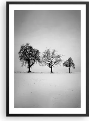 Produktbild von Gerahmtes Poster - Schwarzer Rahmen - Winter Bäume Schnee - 50x70 cm - Wand Bild - Wanddeko - Wandbilder - Kunstposter - Wandposter - Bilderrahmen - Bilder - Kunstdruck - P2BPA50x70-4958