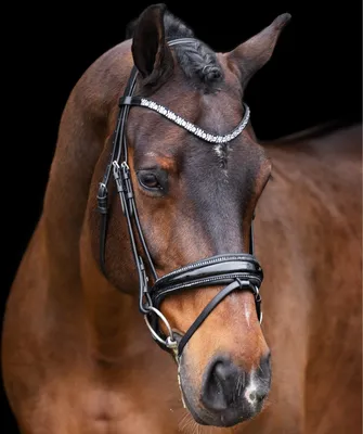 Imagen del producto de Trense IRHOlympia, color negro/plateado, para pony