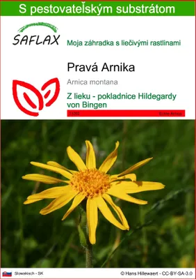 Obrázok produktu pre SAFLAX - Pravá Arnika - Arnica montana - 40 Semená - S pestovateľským substrátom bez klíčkov