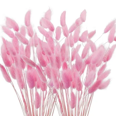 Image de Fleurs séchées : 120 tiges de graminées de Pampa, 40 cm, couleur rose. Décoration