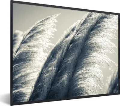 Produktbild von MuchoWow® Gerahmtes Poster Pampasgras - Schwarz - Weiß - Natur 40x30 cm - Poster mit Schwarzem Bilderrahmen Wandposter Rahmen Foto Bilder - Kunstposter - Wanddekorationen