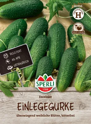 Produktbild von SPERLI Einlegegurkensamen Excelsior F1 Cucumis sativus 9 Pflanzen