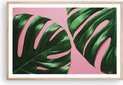 Produktbild von Gerahmtes Poster - Rahmen in heller Eiche - Monstera Blatt Rosa - 91,5x61 cm - Wand Bild - Wanddeko - Wandbilder - Kunstposter - Wandposter - Bilderrahmen - Bilder - Kunstdruck - P2NAA91x61-4407