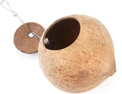 Obrázok produktu pre 1PC Prírodná kokosová škrupina Hniezdo pre vtáky Pet Bird Feeder Toy s otvorom 6 cm