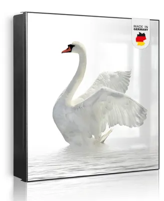Zdjęcie produktu dla banjado metalowa szafka na klucze, duża 30x30 cm z 32 haczykami, może służyć jako tablica magnetyczna, czarny korpus, zawias po prawej stronie, Schwan [SKG1 10299]