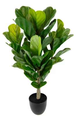 Productafbeelding van Kunstplant, vijgenboom, kunstplant, kamerplant, groene plant, kantoorplant