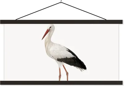 Produktbild von MuchoWow® Textilposter Storch - Vogel - Tiere - Jungen - Kinder - Mädchen 120x60 cm mit schwarzem Rahmen - Dekoration Schlafzimmer
