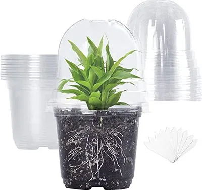 Produktbild von TSKDKIT -Packung 10 Propagationstöpfe Feuchtigkeitskuppel, Pflanzendurchmesser cm, runde Blütentöpfe, Orchideentopf, transparente Plastik Sukkulenten,