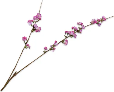 Produktbild von Silk-ka Kunstblume - Seidenblumenblütenzweig Flieder-Rosa 116 cm