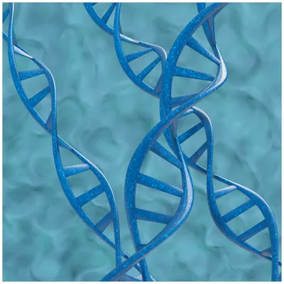 Produktbild von Wallario Premium Glasbild, freischwebende Optik, kräftige Farben, Größe 50 x 50 cm Motiv DNA-Strang in blau auf türkisem Hintergrund