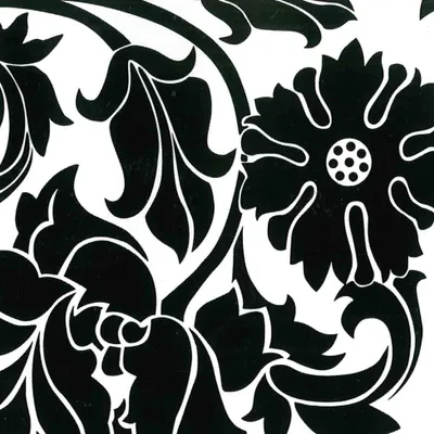 Image de Rouleau adhesif Fleurs fantaisie