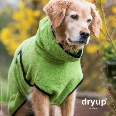 Produktbild von Dryup Cape kiwi XL (70cm)