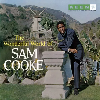 Zdjęcie produktu dla Sam Cooke - The Wonderful World Of Sam Cooke (180 g) (LP)