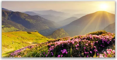 Produktbild von Tulup Leinwand-Bilder 140x70 Wandbild Canvas Kunstdruck Gebirge Wiese Landschaft