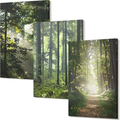 Produktbild von Leinwandbilder – Wandbilder – Leinwandbild – Canvas Bild – Polycanvas – Kunstdruck –  – Modern – Aufhängefertig – Mehrteilig – 3-Teilig – 40x60 Cm Pro Bild - Grüne Wälder mit Lichtstrahlen und einem Waldweg