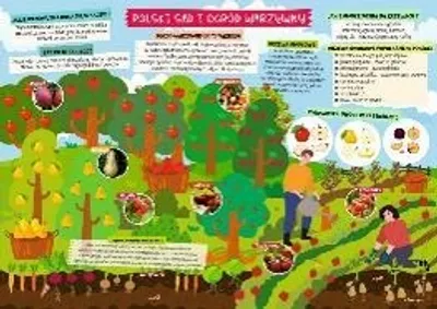 Produktbild von Doppelseitige Schreibtischunterlage „Obst- und Gemüsegarten“, 522 x 350 mm