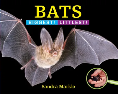 Produktbild von Bats