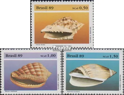 Produktbild von Briefmarken Brasilien 1989 Mi 2318-2320 (kompl.Ausg.) postfrisch Meeresschnecken