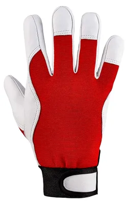 Produktbild von Handschuhe Carver in Größe 11