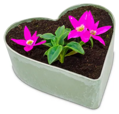 Immagine prodotto di Fioriera cuore vintage verde oliva 22 x 20 cm decorazione tombale
