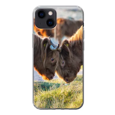 Produktbild von MuchoWow® Handyhülle Schutzhülle Hülle für iPhone 13 Schottische Highlander - Tiere - Sonne Silikon Softcase Handy Hülle - Karteninhaber
