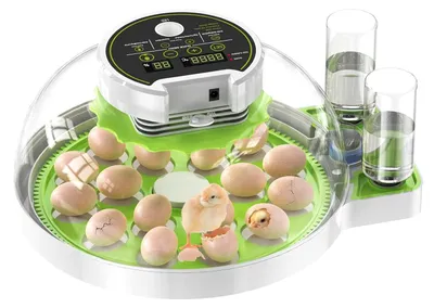 Obrázok produktu pre Automatický inkubátor s automatickým otáčaním, určený na inkubáciu 16-60 vajec, vhodný pre slepice a kačice